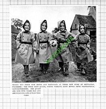 The Good Quads  Elm Tree Farm  Nettleton Wiltshire- 1953 Cutting