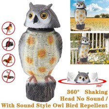 Large Realistic Owl Decoy