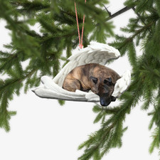 Brindle Staffy Dog Sleeping