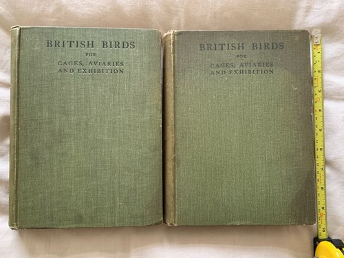 British birds for cages - british,