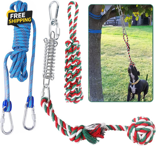 Dog outdoor bungee - outdoor,