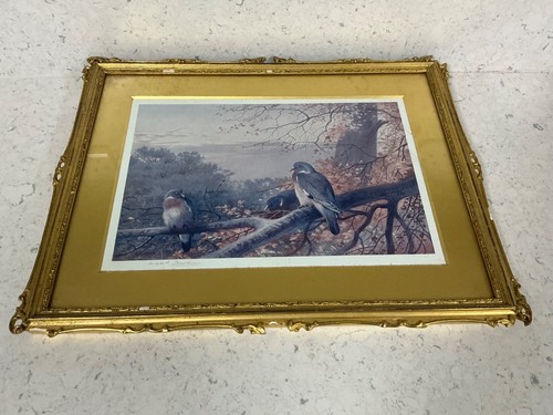 Archibald thorburn signed - archibald,