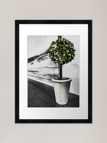 Topiary framed art print - framed,