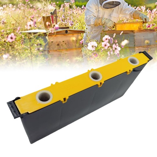 Bee feeder beehive - feeder,beehive, frame