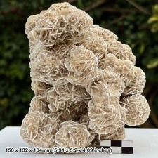 Huge Gypsum Desert Rose