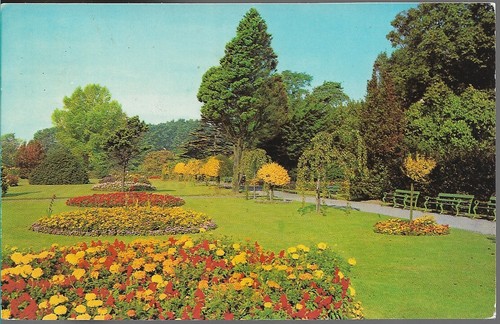 Very nice old postcard - very,