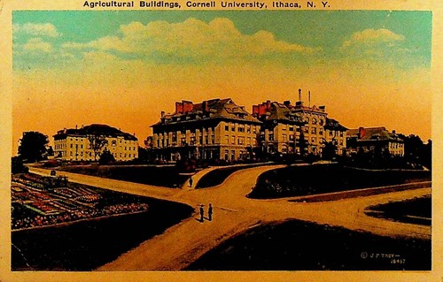 Agricultural buildings cornell - agricultural,