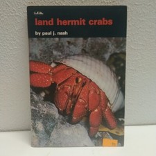 Land Hermit Crabs Nash Pet