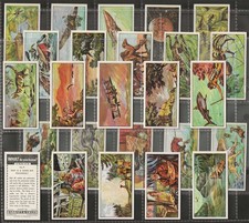 BARRATT-FULL SET- WHAT DO YOU KNOW 1964 (25 CARDS) EXCELLENT+++