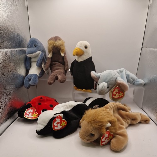 Joblot ty beanie - joblot,