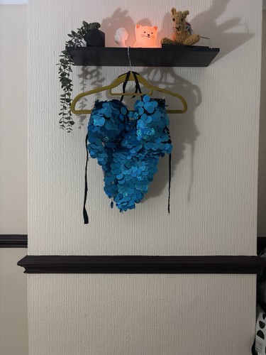 Blue sequin bra and skirt - and, set