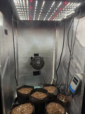 Stealth grow cabinet - stealth,