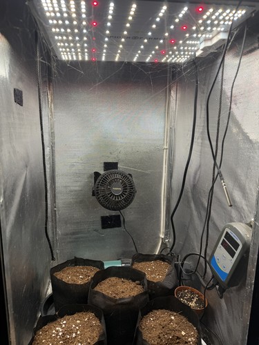 Stealth grow cabinet growbox - stealth,