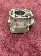 Yamaha TZ250 H/J  SEEL Cylinder 1981-84 Damaged