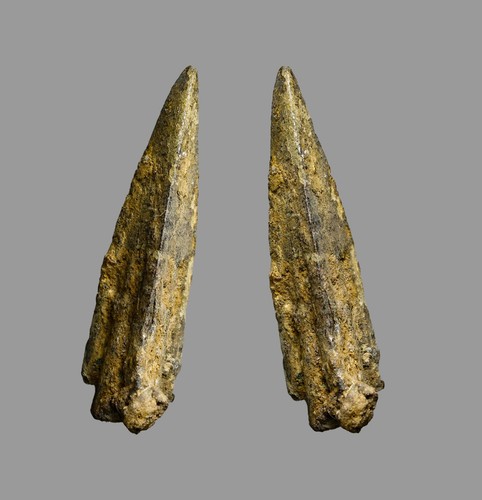 Artifact ancient judaean - artifact,