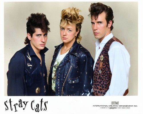 Stray cats colour 8 - cats,