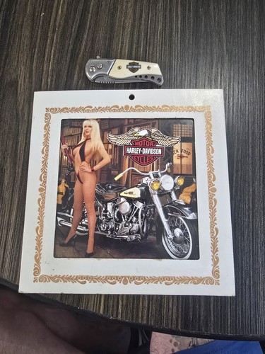 Vtg harley davidson carnival - vtg.,