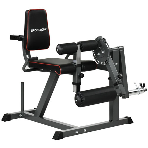 Seated leg extension and curl - leg,