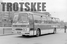 Larger Negative Green Line AEC