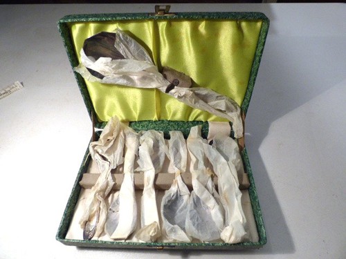 Boxed set dessert spoons - boxed,