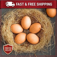 12x fake plastic eggs - fake,
