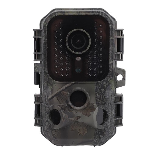 Scouting camera trail - camera,