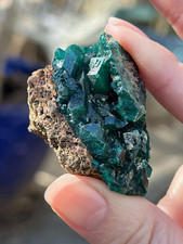 Dioptase Crystal Gemmy Emerald Green Cluster Mineral Specimen 19