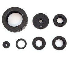 Engine Oil Seal Kit - Honda