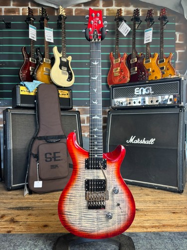 Prs custom floyd - se,