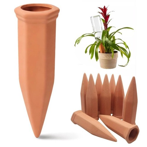 12 pack terracotta - pack,
