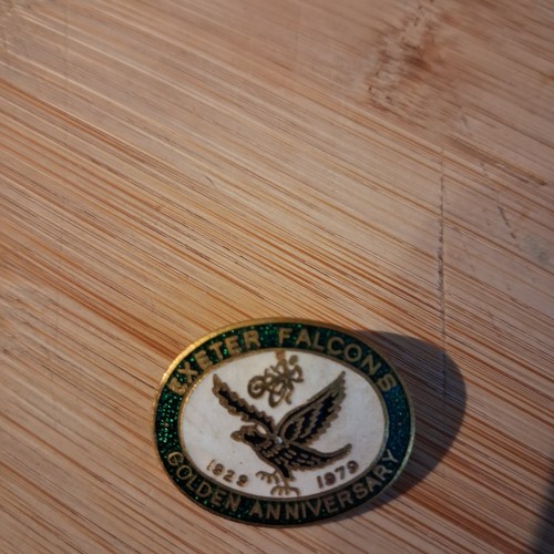 Exeter falcons speedway badge - exeter,