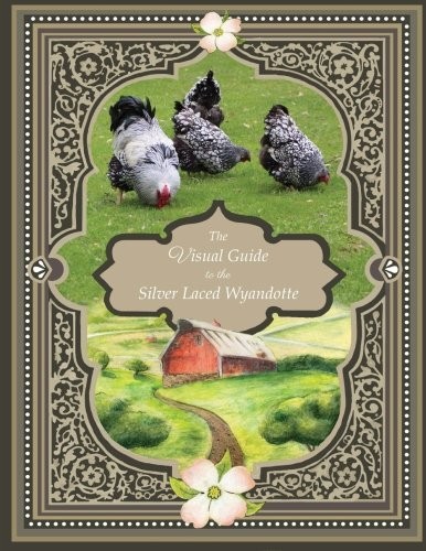 The visual guide - the, silver