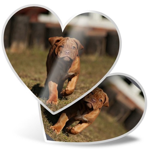 Heart stickers cm - x,