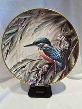 Kingfisher from RSPB Centenary