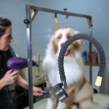 Hanging neck dog hair - hanging,