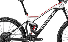 Frame Pivot Bearing Kit |