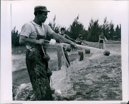 1965 king fish netting - 1965,