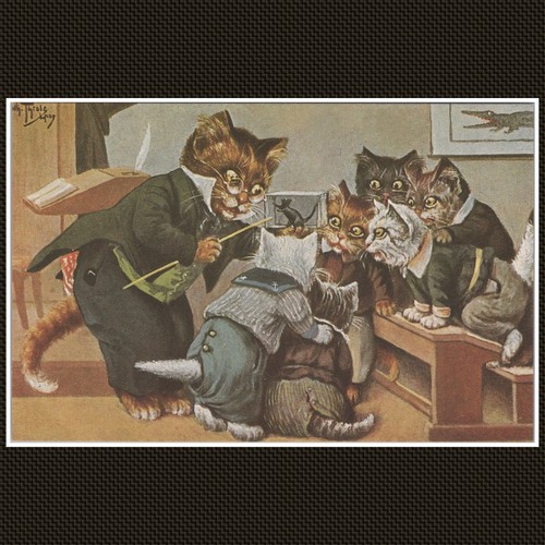 Cats schoolroom - cats,