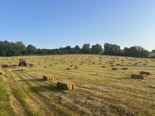 Conventional hay bales - (£5),