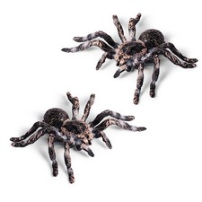 2/10Pcs Realistic Fake Spider