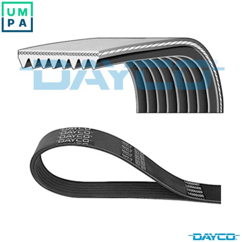 Vribbed belt 8pk2642hd - vribbed, for