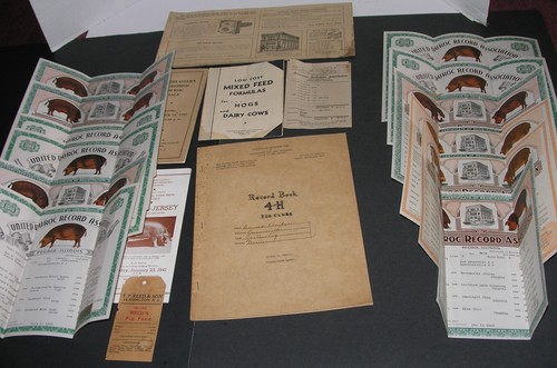 Lot certificates - lot, 12