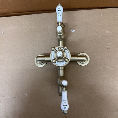 Antique brass double shower - double,