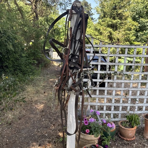 Horse tack job - tack, assortment