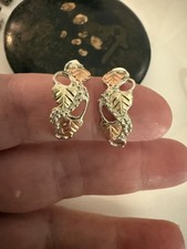 Coleman Co. Black Hills 12k