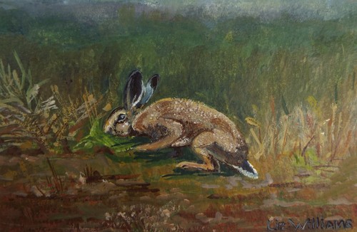 Original watercolour - original,