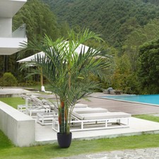 200CM Tall Realistic Artificial Tree Fake Tropical Plant with Pot Indoor Outdoor