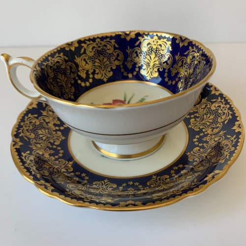Paragon cobalt blue - cobalt,
