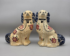 Staffordshire Spaniel Dogs
