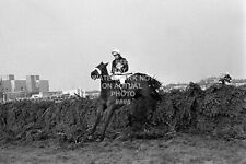 1974 RED RUM BRIAN FLETCHER